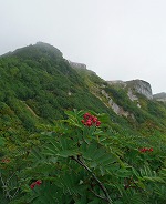 燕岳